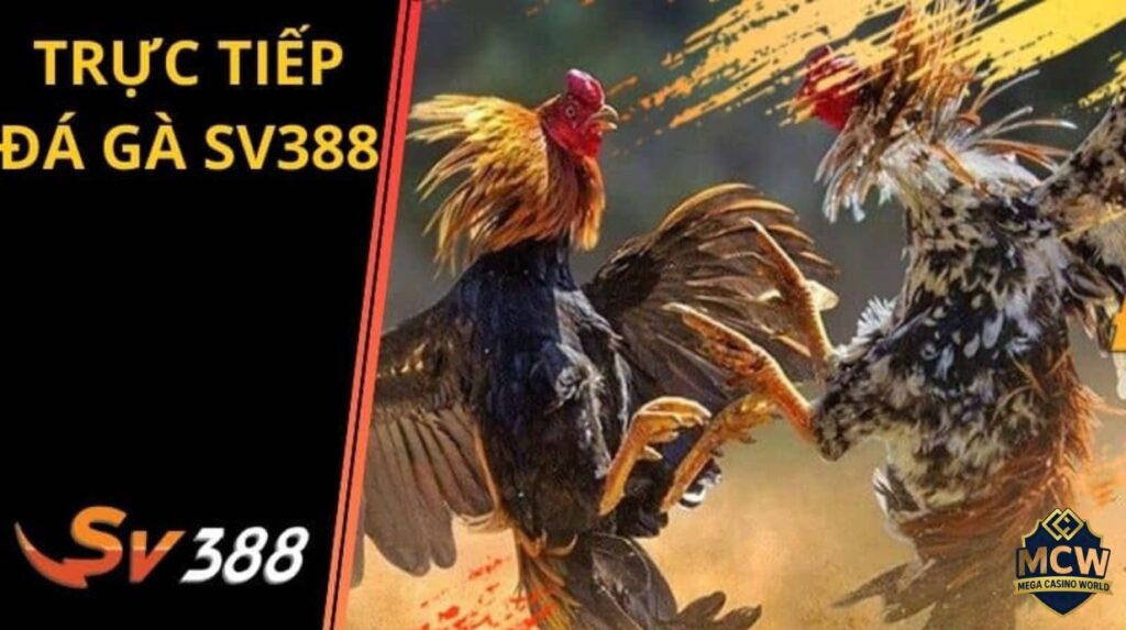 Cảnh báo rủi ro và bí kíp bảo vệ tài khoản